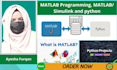 do matlab programming, python programming and matlab simulink