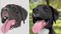 digitize your pet in one an hour