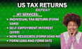 prepare and file US tax return, US tax filing, for businesses and individual