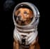 create ai enhanced designs and edit images professionally