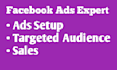 do professional facebook ads expert