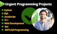 develop custom software and web apps using python c pp java sql