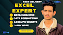 do excel data cleaning,formatting,data cleanup or csv files