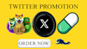 promote twitter shoutout memecoin token website nft dex promotion to investors
