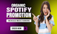 do spotify music promotion through ads campaign