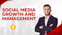 do social media growth and management