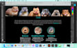 design your new website