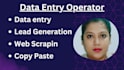 do data entry, lead generation, data mining data scraping