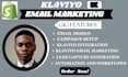 do klaviyo email marketing for shopify klaviyo