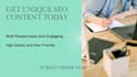 write plagiarism free SEO optimized blog posts and articles