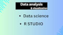 do data analysis using r programming, rstudio, sas and python