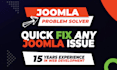 quickly fix any joomla bug or error and update your website