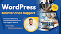 provide monthly wordpress maintenance and support