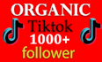 get you 1000 real non drop tiktok followers fast