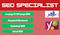 assist with on page SEO checklist organic link building