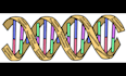 do evolutionary computing tasks in 24 hours
