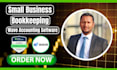 do small business bookkeeping on wave accounting software