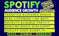 do professional spotify promotion for real audience growth
