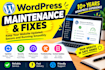 update maintain and fix your wordpress website