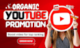 do fast organic youtube video promotion to grow your channel