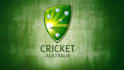 design fantastic high quality cricket logo