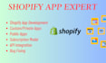create professional shopify app public and private