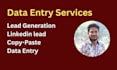 do data entry lead generation and linkedin leads