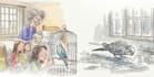 design children story book, child book illustration, picture book illustration