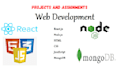 tutor web development python, html, css, javascript, react, node js