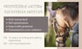 write engaging SEO equestrian content for your blog or website