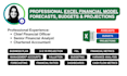 create professional excel models, forecasts or budgets
