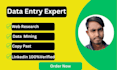 do data entry data mining copy paste lead generation
