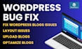 solve wordpress bugs and repair you site urgently