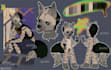 custom reference sheet for your furry from scratch