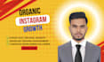 do instagram promotion for super fast organic growth