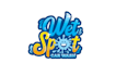 design awesome car wash logo