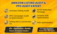audit your amazon listing, PPC campaign and provide optimization strategy