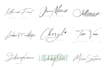 create a professional signature logo animation or name reveal