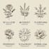 handdrawn financial logo in 24 hours