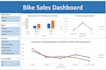 create professional excel dashboard, charts and pivot tables