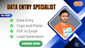 data entry, copy and paste, PDF to excel