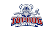 design awesome hockey team logo