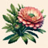 do a botanical illustration of flower illustration