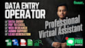 do data entry, web research, copy paste, PDF to excel and data collection