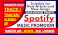 do professional spotify promotion with targeted ads