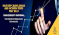 write persuasive sales copy, email copy, blog posts and ctas that sell