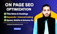 do wordpress onpage SEO service and technical optimization for your website