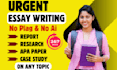 do assignment, essay writing, apa paper, research and summaries