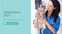 landing page veterinaria con whatsapp