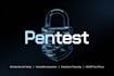 perform a professional penetration test and security audit